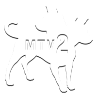 Логотип канала 'MTV 2 (HD ready)'