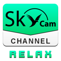 Логотип канала